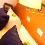 Hotel Rheinhotel Vier Jahreszeiten