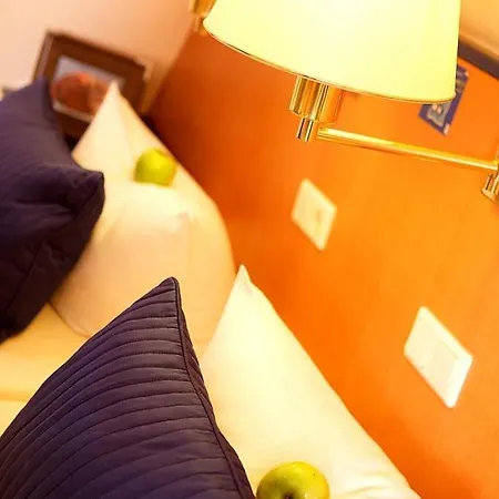 Отель Rheinhotel Vier Jahreszeiten