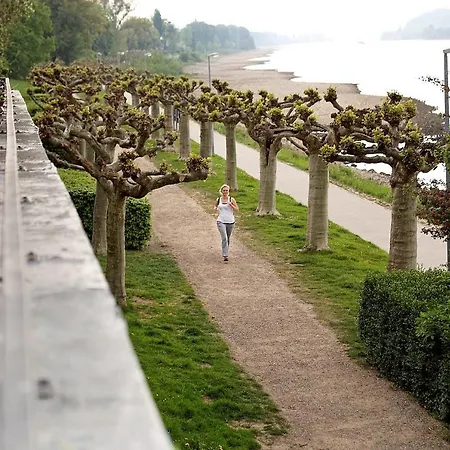 Rheinhotel Vier Jahreszeiten