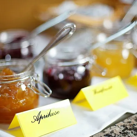 Rheinhotel Vier Jahreszeiten Отель Бад-Брайзиг