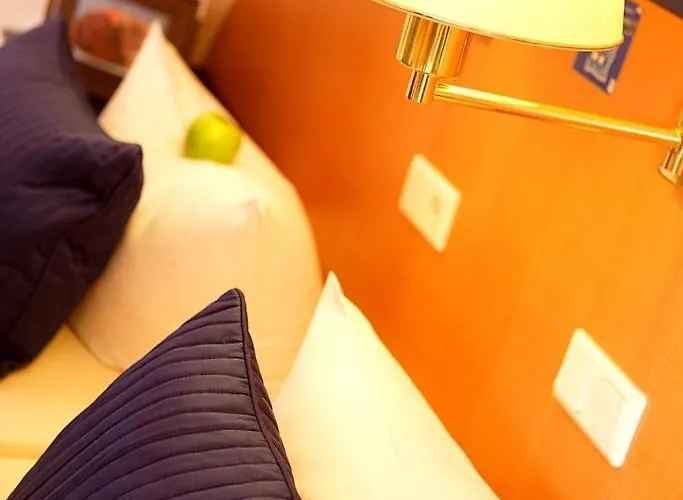 酒店 Rheinhotel Vier Jahreszeiten