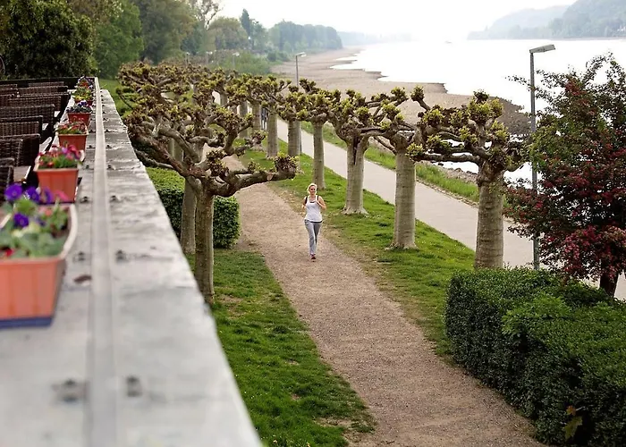Rheinhotel Vier Jahreszeiten
