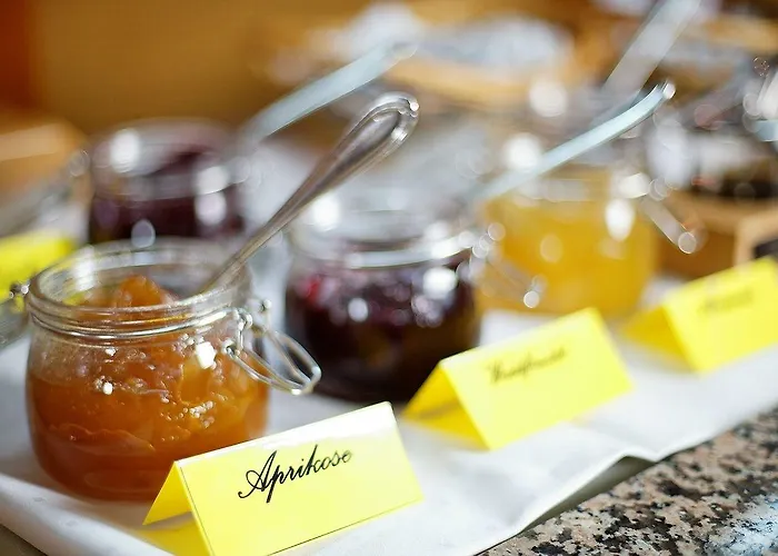 Rheinhotel Vier Jahreszeiten 酒店 巴特布雷希格