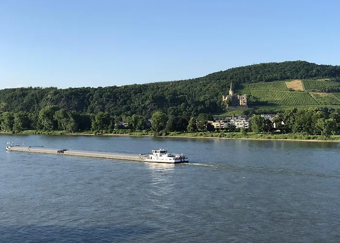 Rheinhotel Vier Jahreszeiten 巴特布雷希格